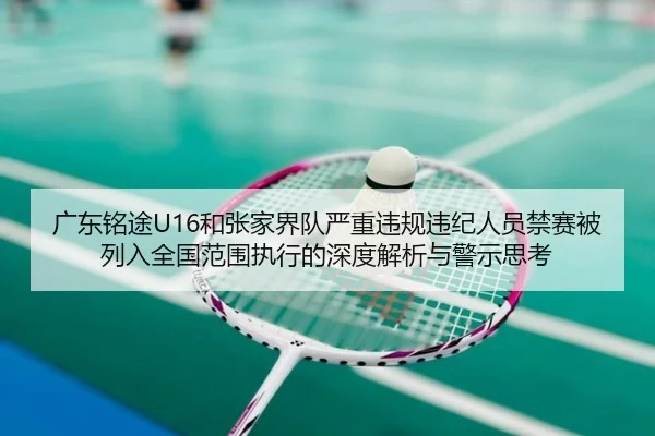 广东铭途U16和张家界队严重违规违纪人员禁赛被列入全国范围执行的深度解析与警示思考